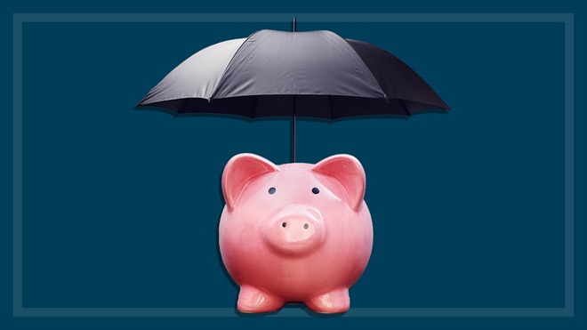 umbrella_over_a_piggy_bank